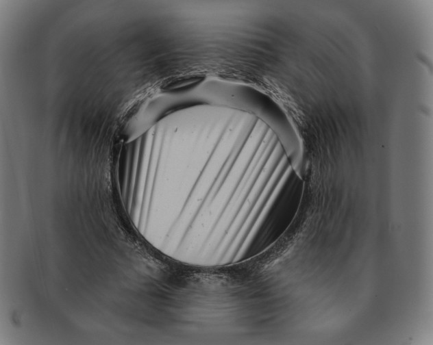 X0000090950681200708301140