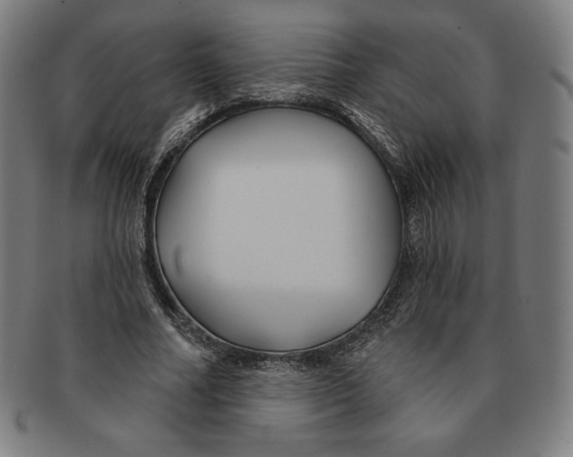 X0000090950682200708301140