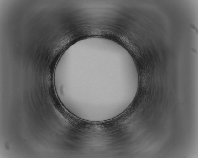 X0000090950683200708301140