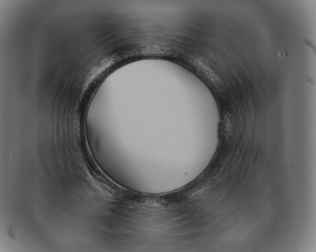 X0000090950684200708301140