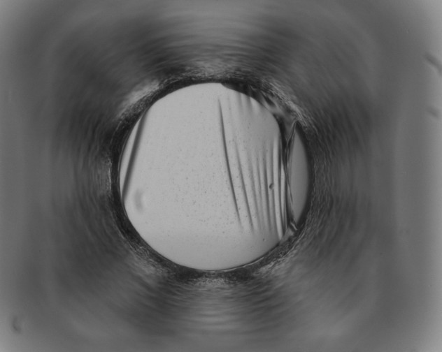 X0000090950685200708301140