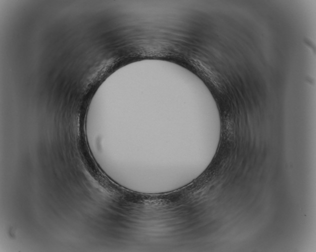 X0000090950686200708301140