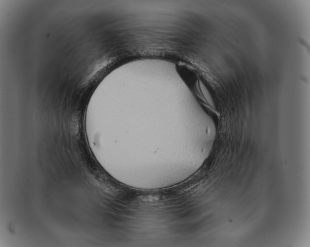 X0000090950687200708301140