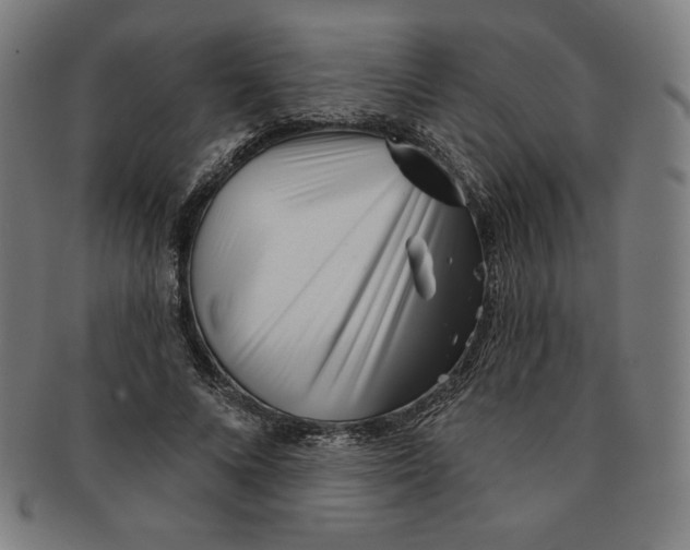 X0000090950688200708301140