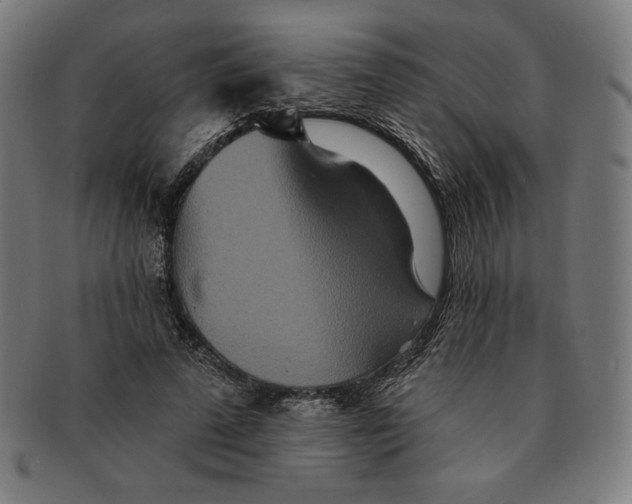 X0000090950689200708301140