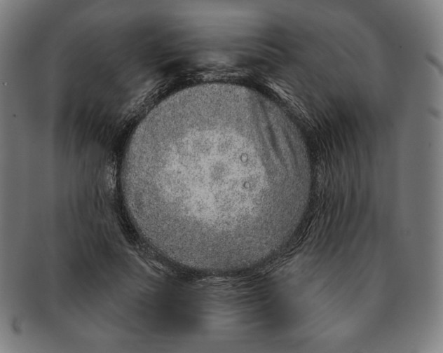 X0000090950691200708301140