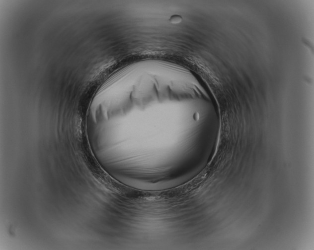 X0000090950692200708301140