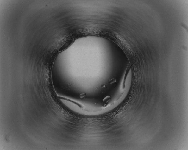 X0000090950693200708301140