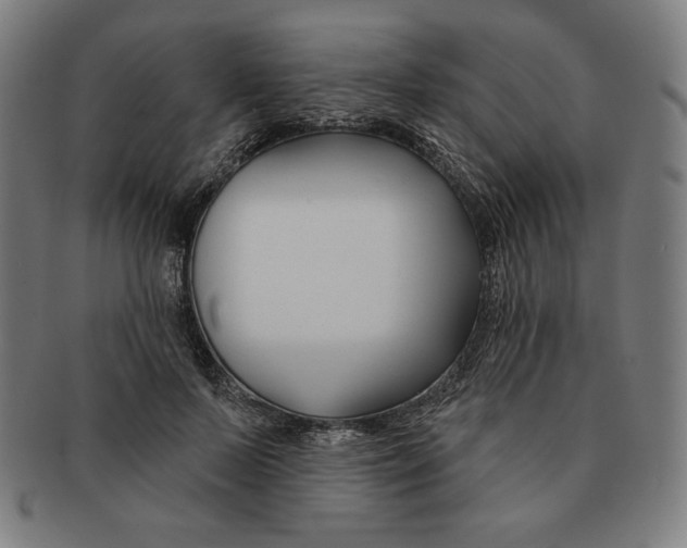 X0000090950695200708301140