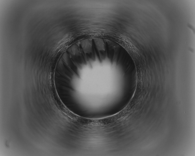 X0000090950696200708301140