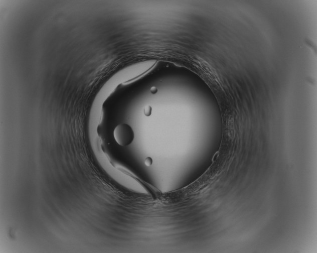 X0000090950697200708301140