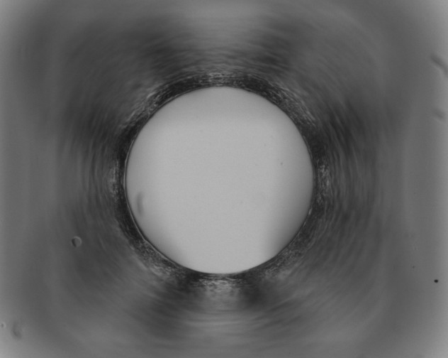 X0000090950698200708301140