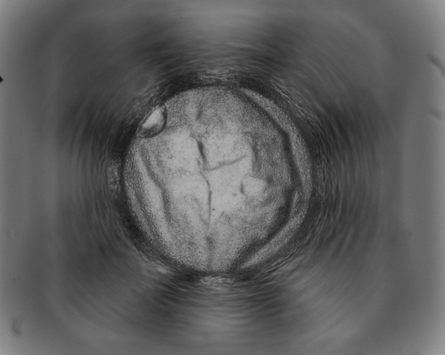 X0000090950699200708301140