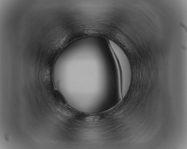 X0000090950700200708301140