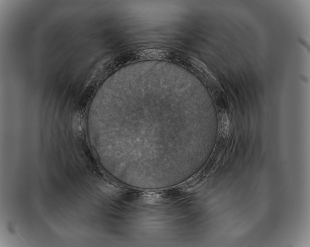 X0000090950701200708301140