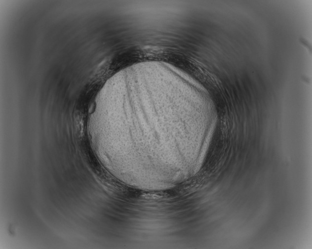 X0000090950703200708301140