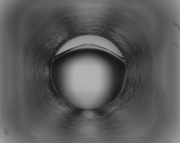 X0000090950704200708301140