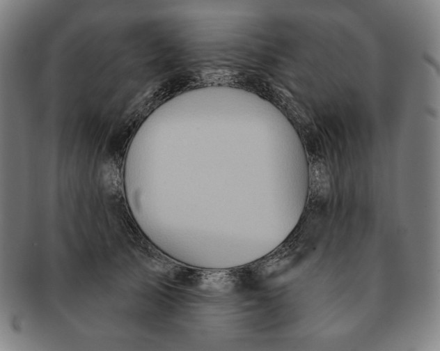 X0000090950705200708301140