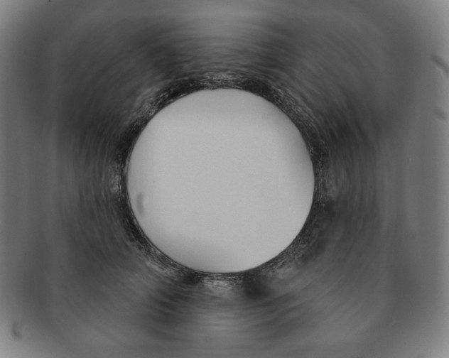 X0000090950706200708301140