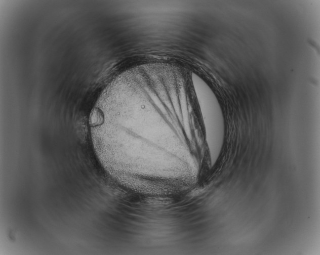 X0000090950707200708301140