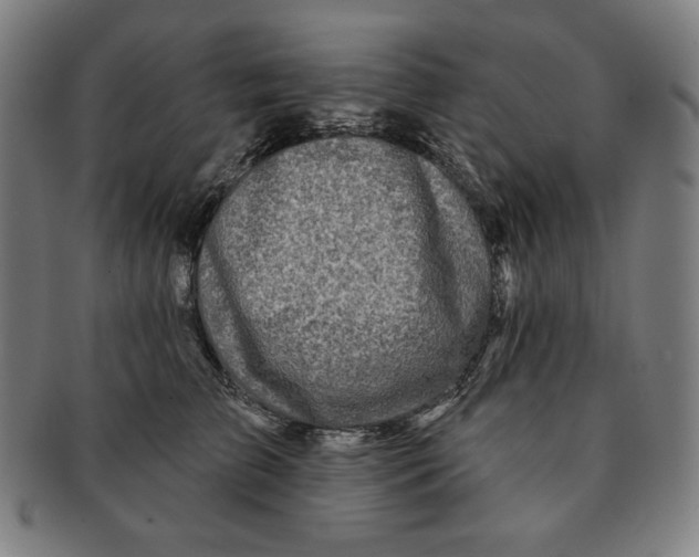 X0000090950709200708301140