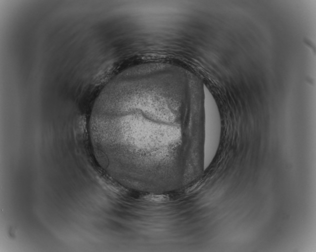 X0000090950711200708301140