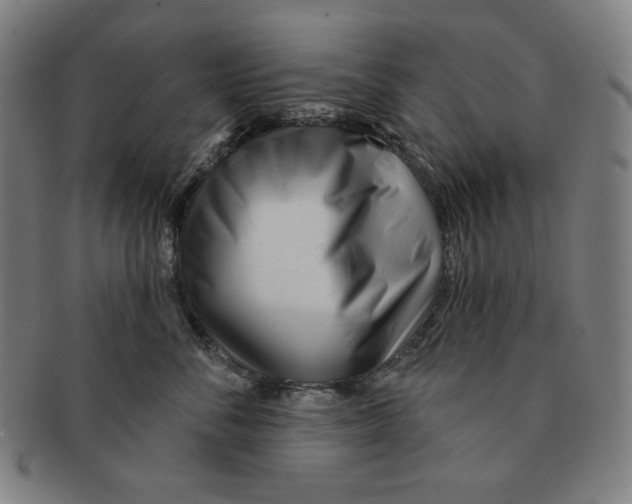 X0000090950716200708301140