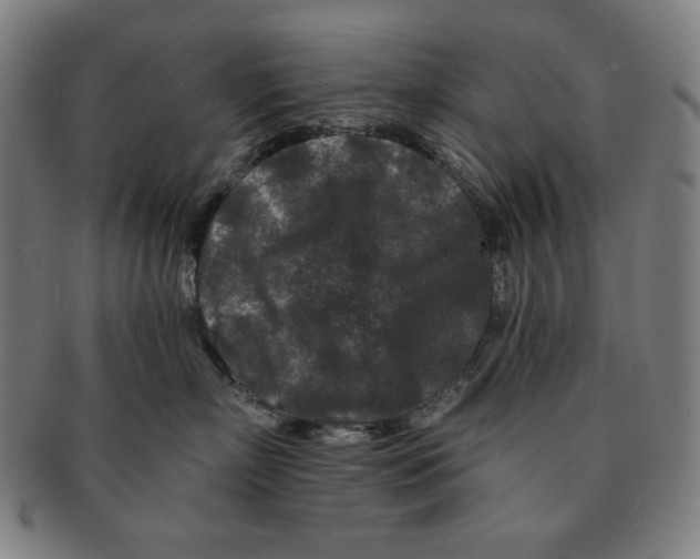 X0000090950718200708301140