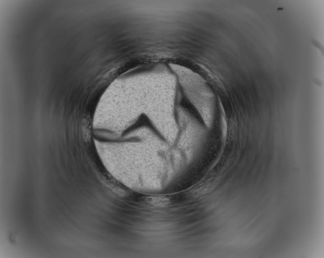 X0000090950719200708301140