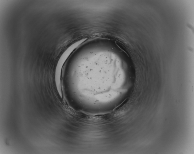 X0000090950720200708301140