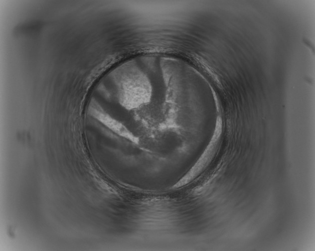 X0000090950721200708301139