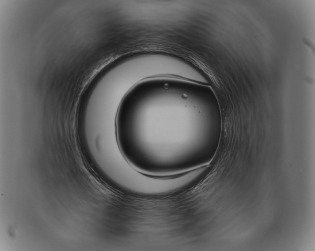 X0000090950722200708301139