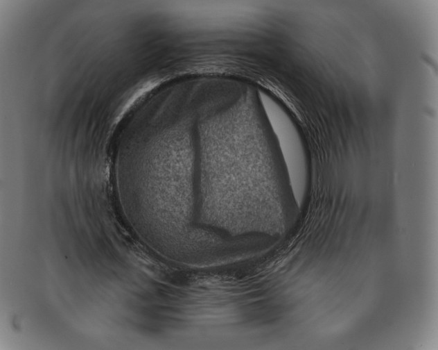 X0000090950723200708301139