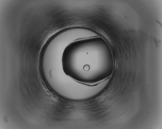 X0000090950724200708301139