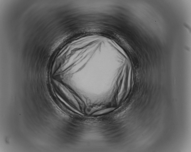 X0000090950725200708301139