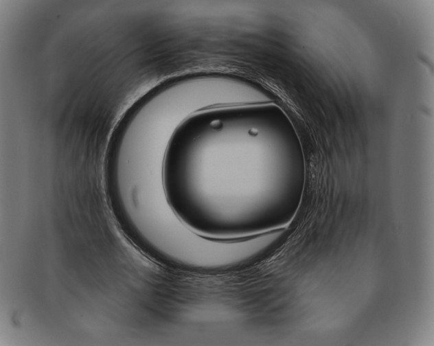 X0000090950726200708301139