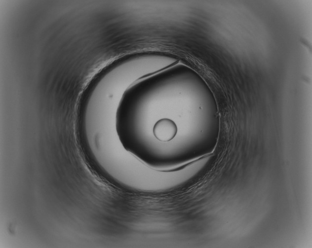 X0000090950728200708301139