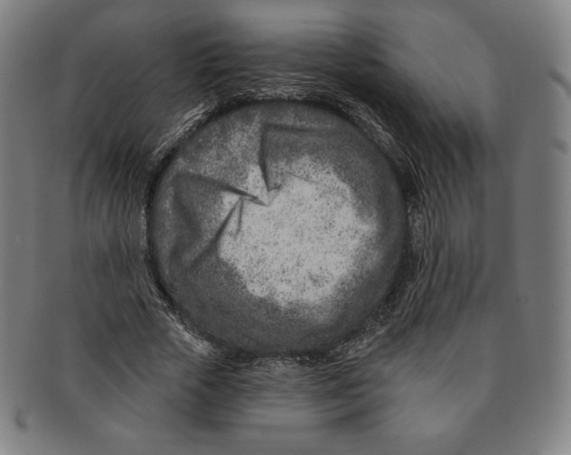 X0000090950729200708301139