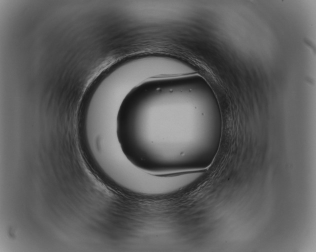 X0000090950730200708301139