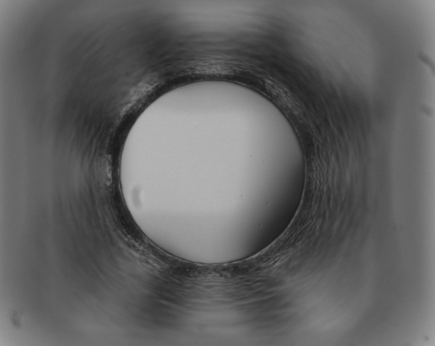 X0000090950731200708301139