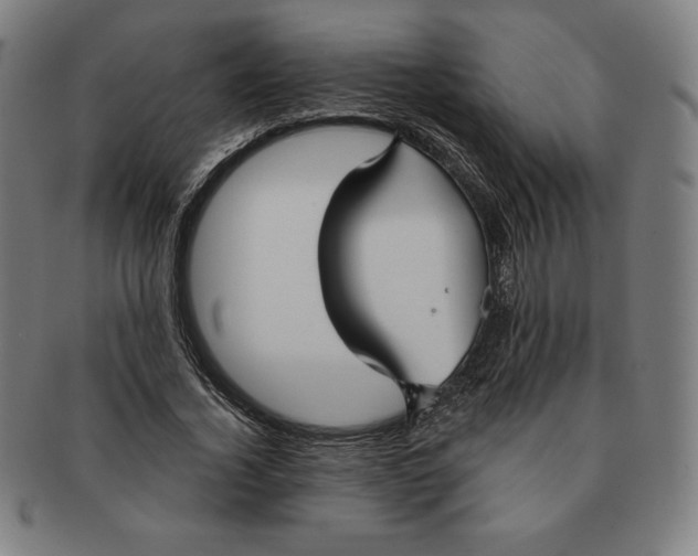 X0000090950732200708301139