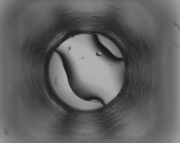X0000090950734200708301139