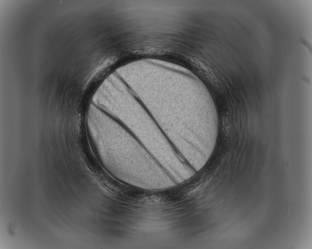 X0000090950735200708301139