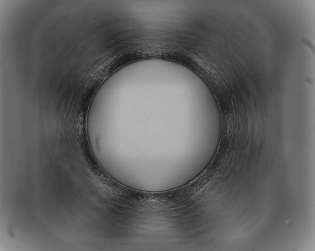 X0000090950737200708301139