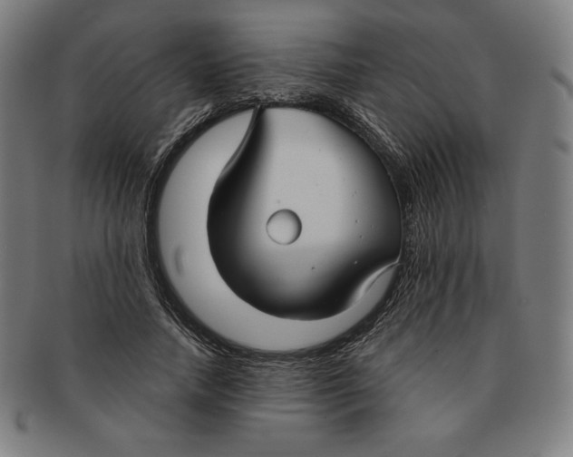 X0000090950738200708301139