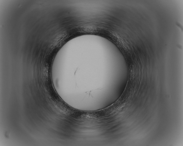 X0000090950739200708301139