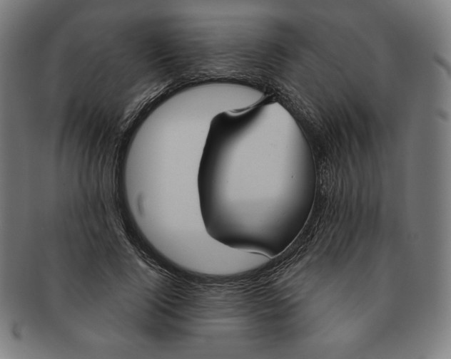 X0000090950740200708301139