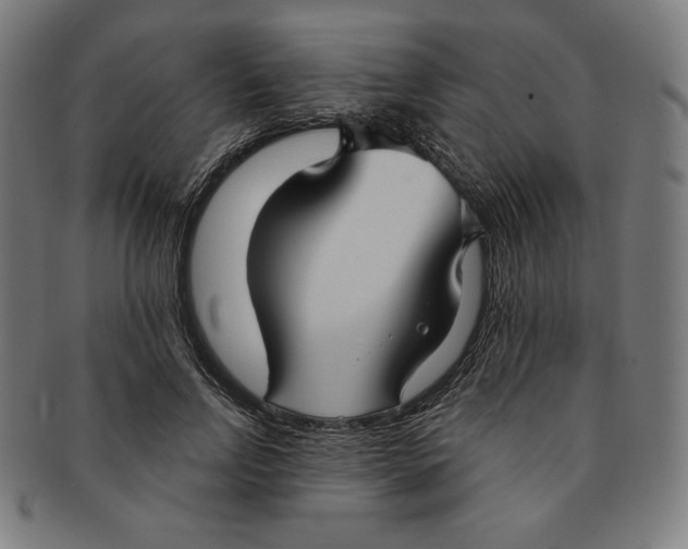 X0000090950742200708301139