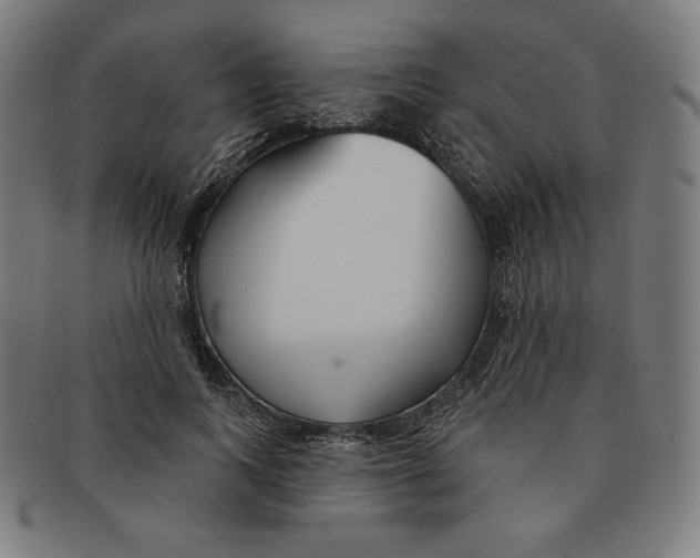 X0000090950743200708301139
