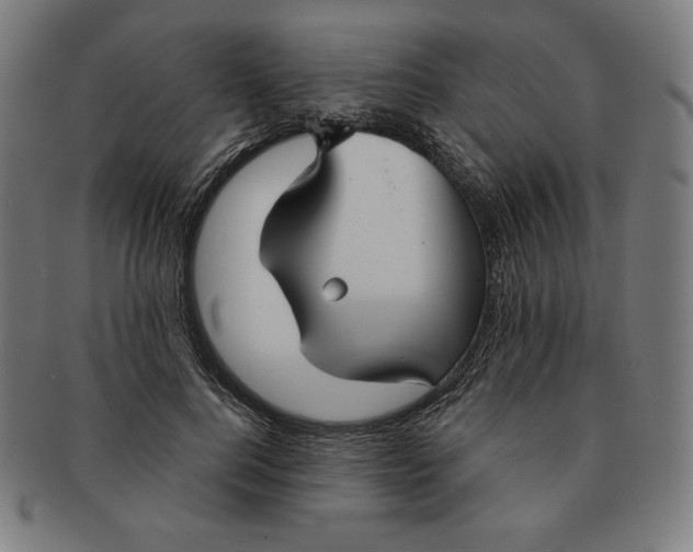 X0000090950744200708301139